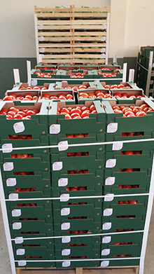 Vegetables and fruits Images