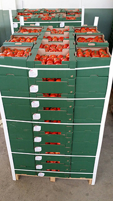 Vegetables and fruits Images