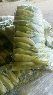 Vegetables and fruits Images