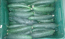 Vegetables and fruits Images