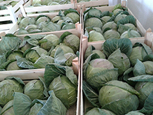 Vegetables and fruits Images