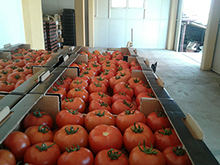 Vegetables and fruits Images