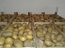 Vegetables and fruits Images