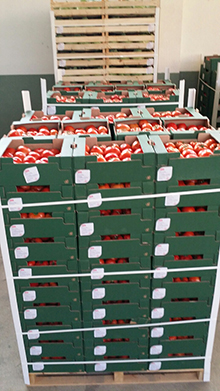 Vegetables and fruits Images