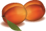 праска