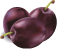 слива
