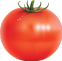 домат