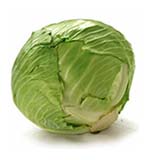 Cabbage