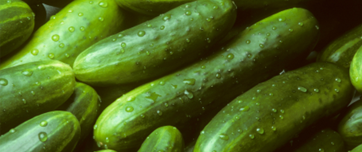cucumber