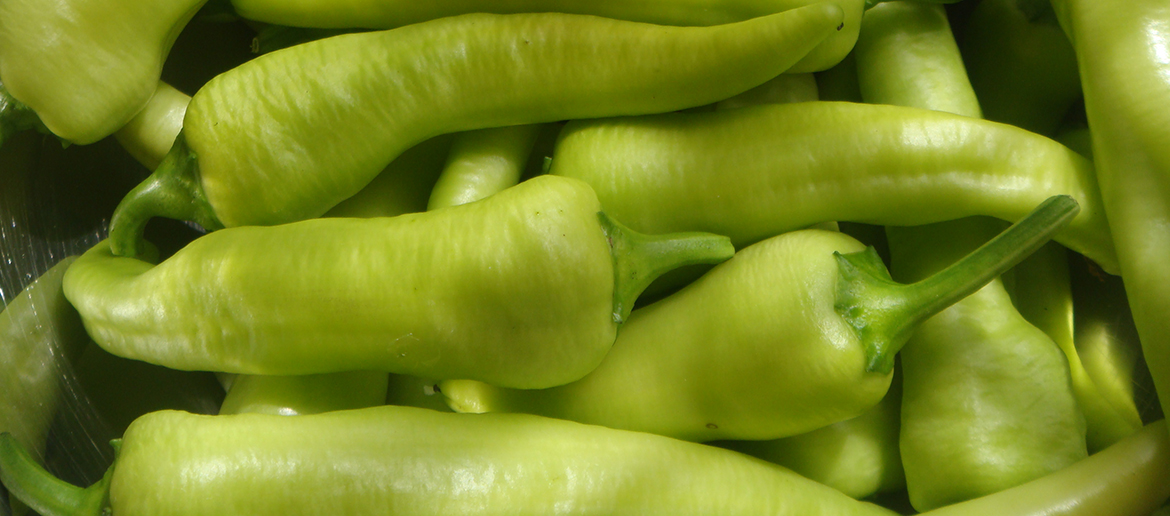 green-pepper