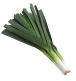 Leek