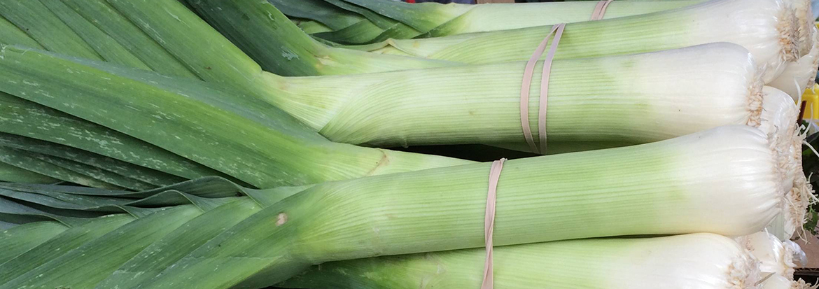 leek