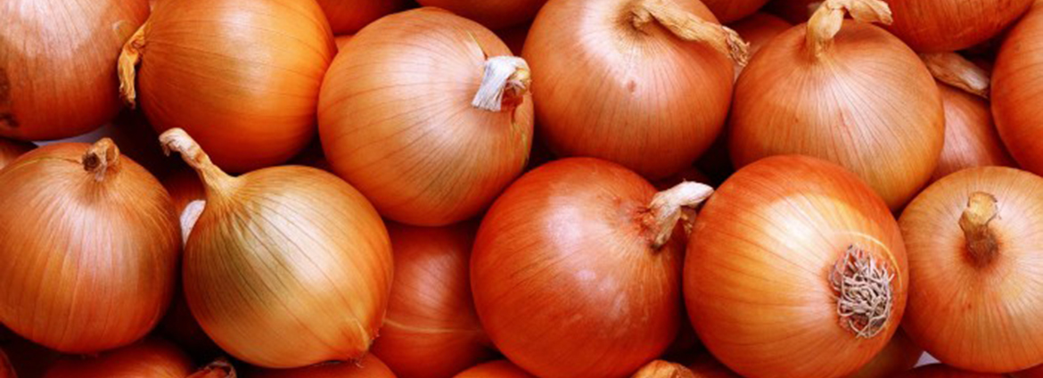 onion