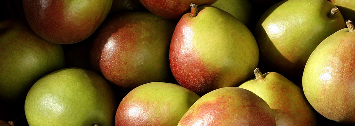 pear