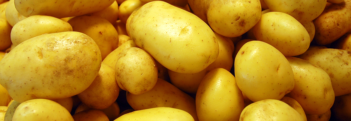 potato