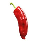 Red Pepper