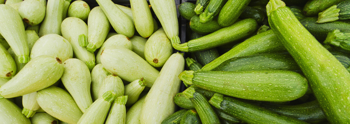 summer-squash