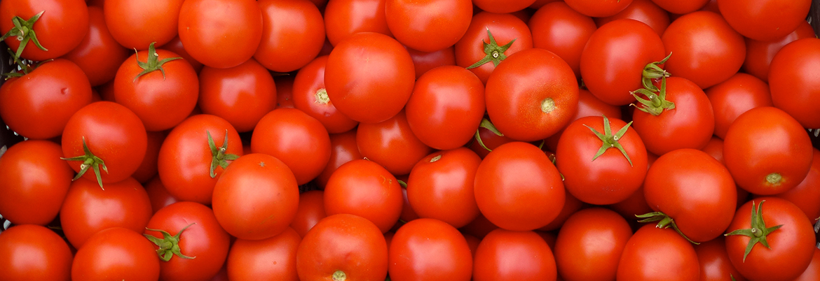 tomato