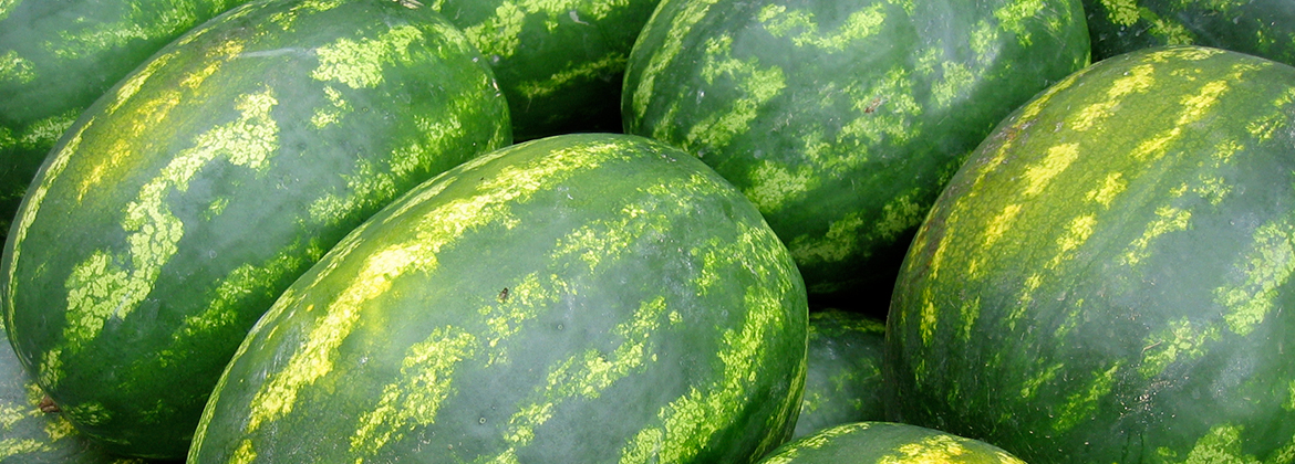 watermelon